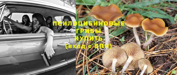 ECSTASY Алзамай