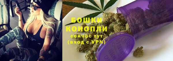 2c-b Новозыбков