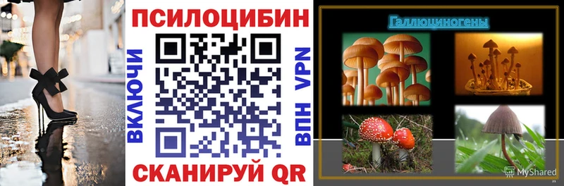 ссылка на мегу сайт  Себеж  Псилоцибиновые грибы Psilocybe 